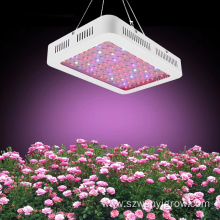 600W Grow Light Red Blue Lighting